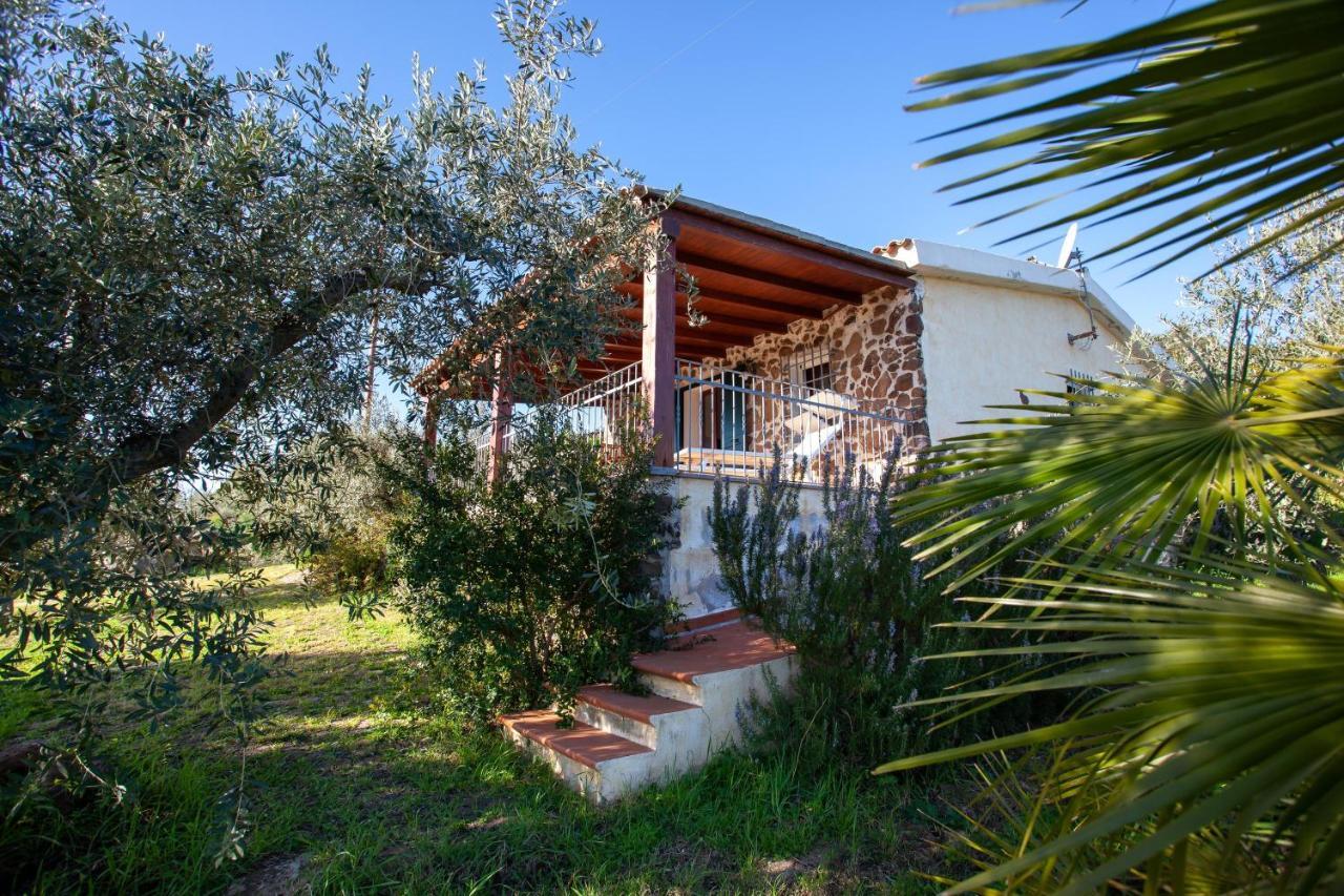 Villa Casa Osala Orosei Esterno foto